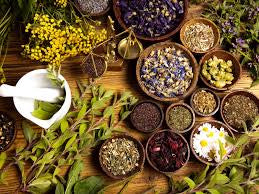 Holistic Health Appointment
